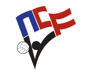 NCVF+Logo+white+border+no+background