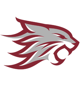 Chico logo